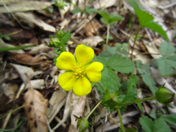 f:id:placeness:20120513125447j:image f:id:placeness:20120513125447j:image