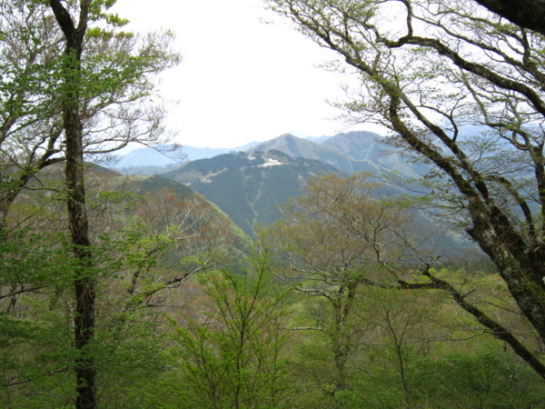 f:id:placeness:20120513134200j:image f:id:placeness:20120513134200j:image