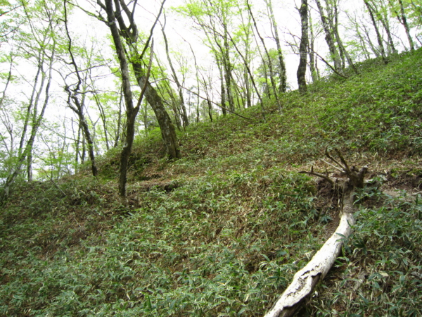 f:id:placeness:20120513134401j:image f:id:placeness:20120513134401j:image