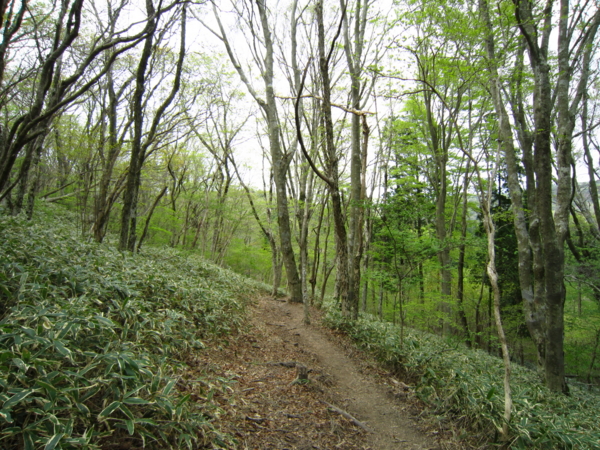 f:id:placeness:20120513134826j:image f:id:placeness:20120513134826j:image