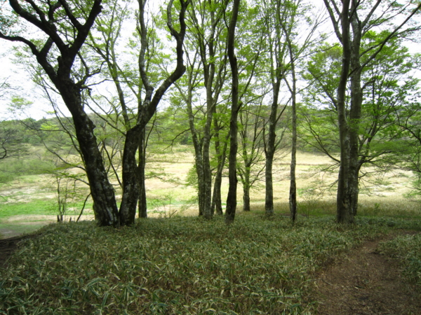 f:id:placeness:20120513135410j:image f:id:placeness:20120513135410j:image