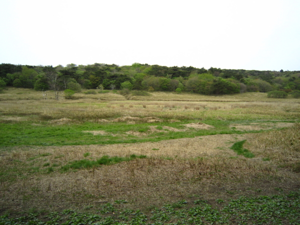 f:id:placeness:20120513135454j:image f:id:placeness:20120513135454j:image