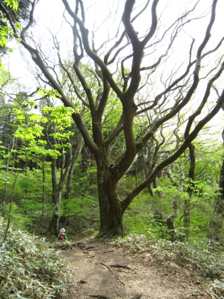 f:id:placeness:20120513140108j:image f:id:placeness:20120513140108j:image