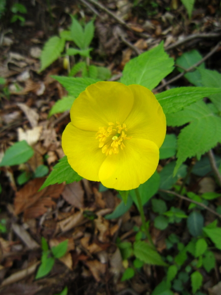 f:id:placeness:20120513142654j:image f:id:placeness:20120513142654j:image