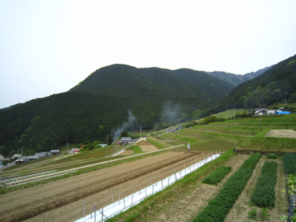 f:id:placeness:20120513150340j:image f:id:placeness:20120513150340j:image