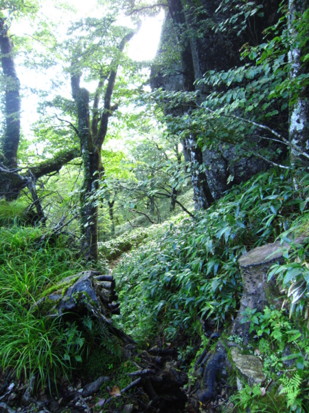 f:id:placeness:20120902083305j:image f:id:placeness:20120902083305j:image