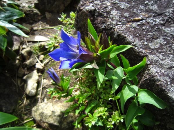 f:id:placeness:20120902085005j:image f:id:placeness:20120902085005j:image