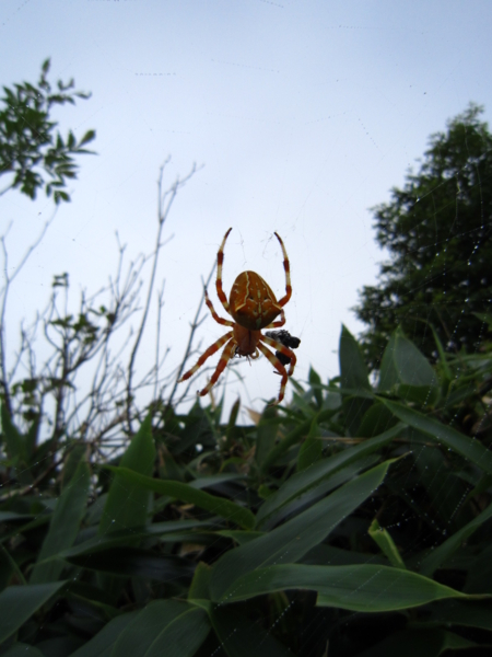 f:id:placeness:20120902092054j:image f:id:placeness:20120902092054j:image