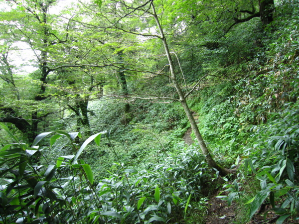 f:id:placeness:20120902094502j:image f:id:placeness:20120902094502j:image