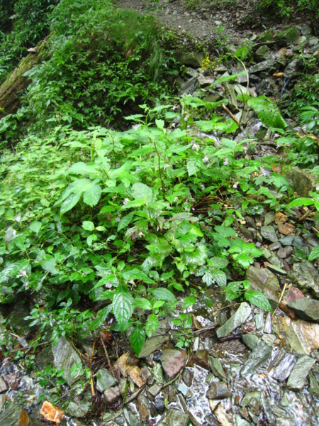 f:id:placeness:20120902095023j:image f:id:placeness:20120902095023j:image