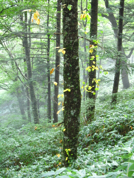 f:id:placeness:20120902095728j:image f:id:placeness:20120902095728j:image