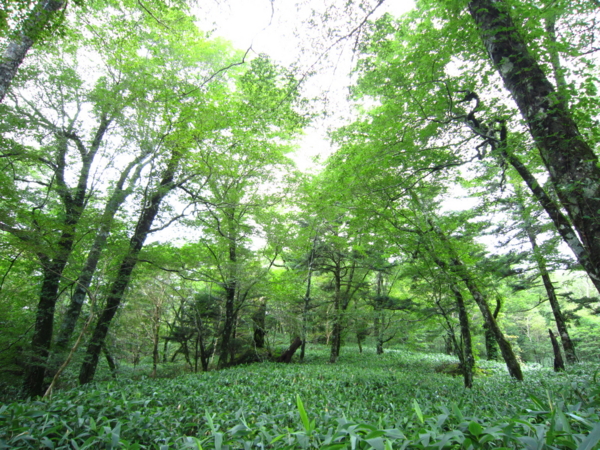 f:id:placeness:20120902100446j:image f:id:placeness:20120902100446j:image