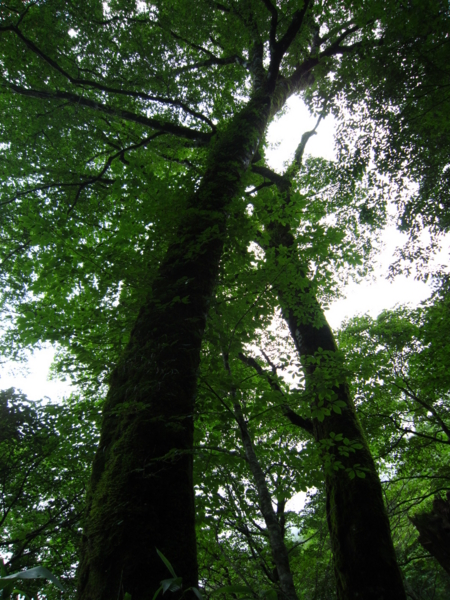 f:id:placeness:20120902101100j:image f:id:placeness:20120902101100j:image