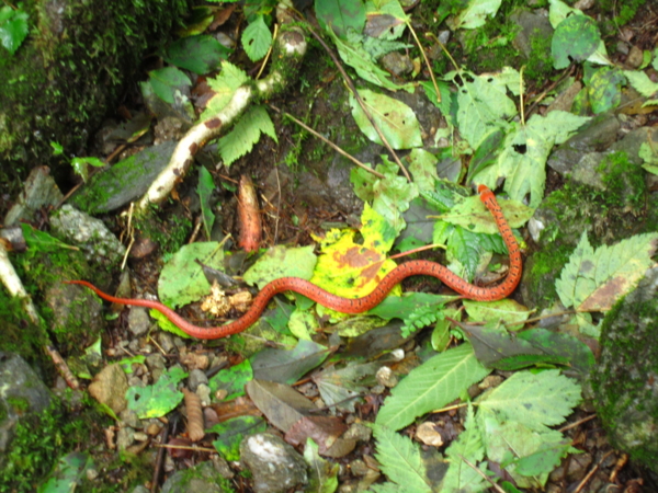 f:id:placeness:20120902101458j:image f:id:placeness:20120902101458j:image