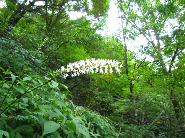 f:id:placeness:20120902101845j:image f:id:placeness:20120902101845j:image