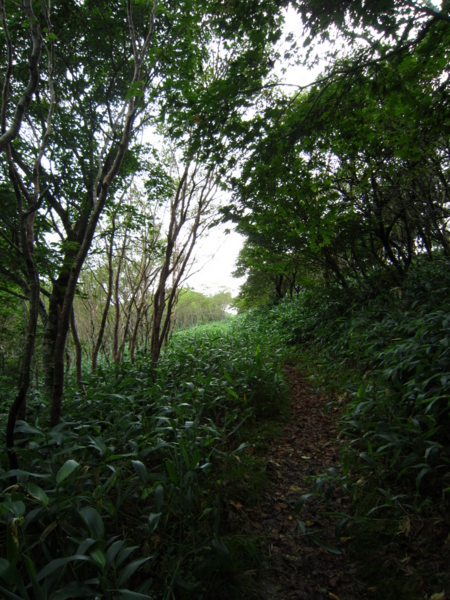 f:id:placeness:20120902105524j:image f:id:placeness:20120902105524j:image