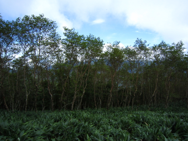 f:id:placeness:20120902105616j:image f:id:placeness:20120902105616j:image