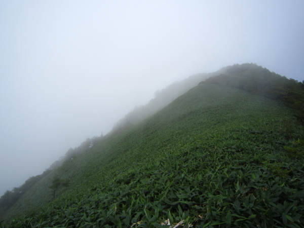 f:id:placeness:20120902105702j:image f:id:placeness:20120902105702j:image