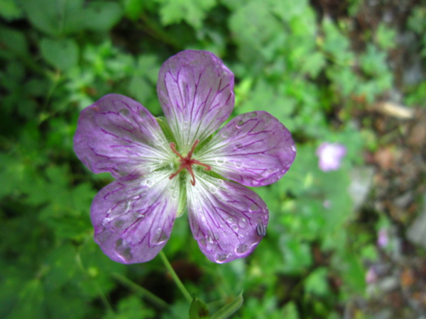 f:id:placeness:20120902110959j:image f:id:placeness:20120902110959j:image