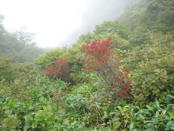 f:id:placeness:20120902112251j:image f:id:placeness:20120902112251j:image