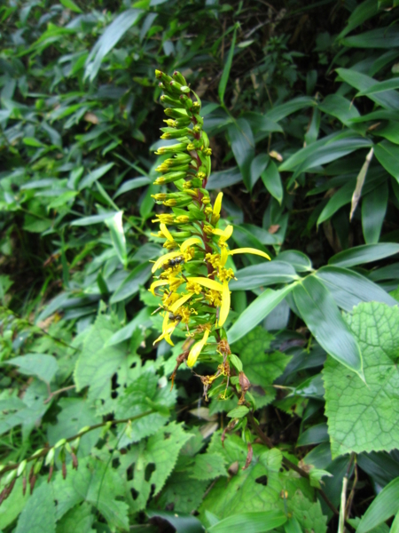 f:id:placeness:20120902115256j:image f:id:placeness:20120902115256j:image