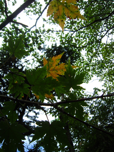 f:id:placeness:20120902120402j:image f:id:placeness:20120902120402j:image