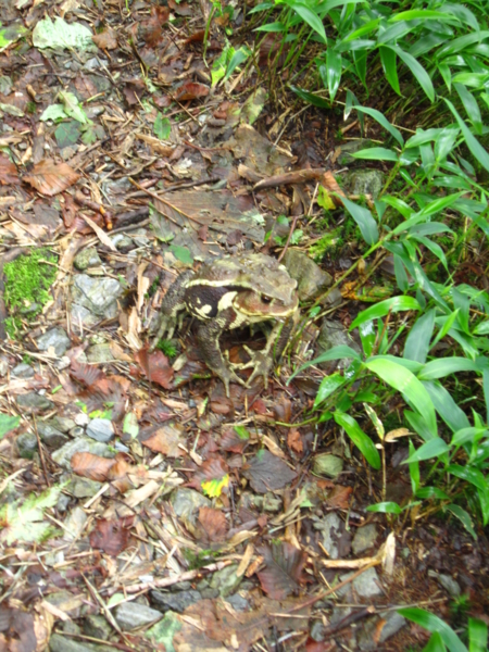 f:id:placeness:20120902120602j:image f:id:placeness:20120902120602j:image