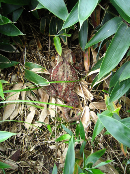 f:id:placeness:20120902125615j:image f:id:placeness:20120902125615j:image