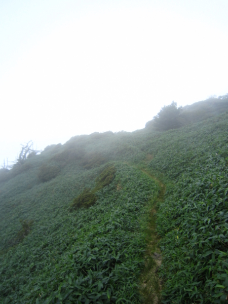 f:id:placeness:20120902125921j:image f:id:placeness:20120902125921j:image