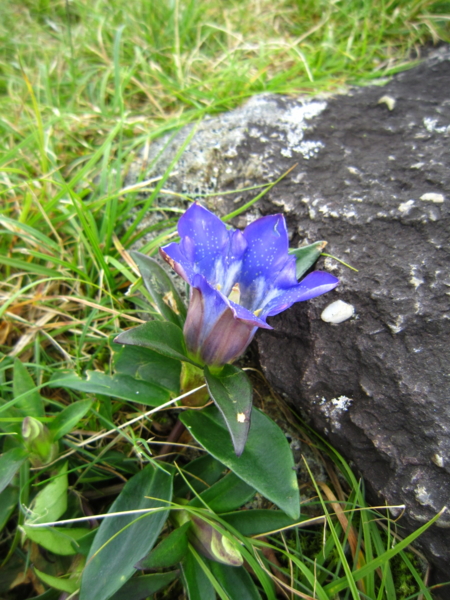 f:id:placeness:20120902133613j:image f:id:placeness:20120902133613j:image