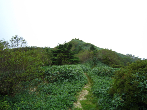 f:id:placeness:20120902133759j:image f:id:placeness:20120902133759j:image