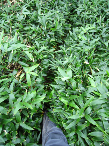 f:id:placeness:20120902134757j:image f:id:placeness:20120902134757j:image