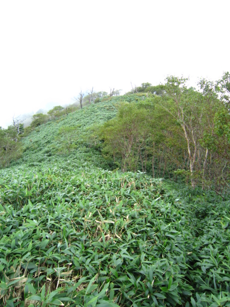 f:id:placeness:20120902134805j:image f:id:placeness:20120902134805j:image