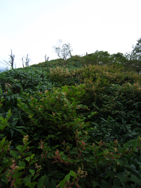 f:id:placeness:20120902134914j:image f:id:placeness:20120902134914j:image