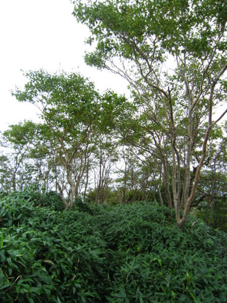 f:id:placeness:20120902135129j:image f:id:placeness:20120902135129j:image