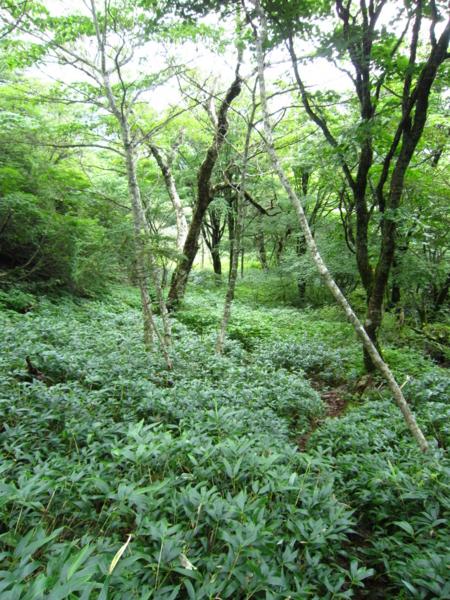 f:id:placeness:20120902135708j:image f:id:placeness:20120902135708j:image