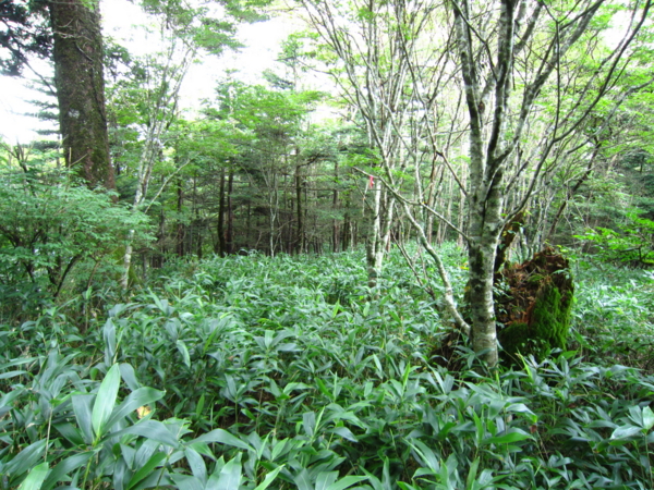 f:id:placeness:20120902140044j:image f:id:placeness:20120902140044j:image