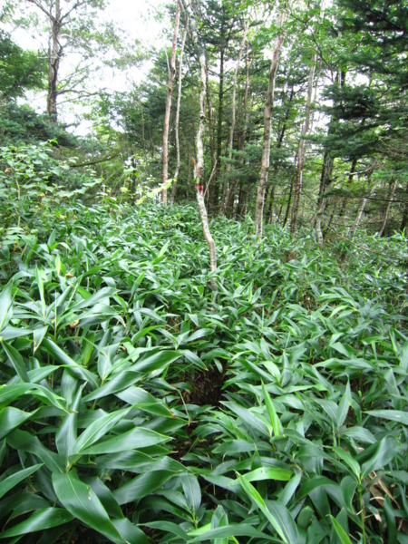 f:id:placeness:20120902140436j:image f:id:placeness:20120902140436j:image