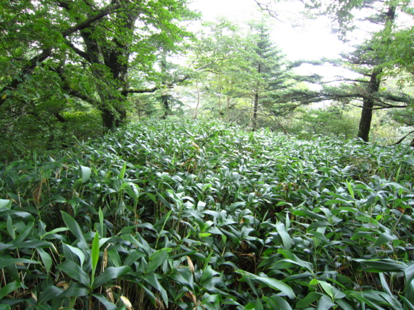 f:id:placeness:20120902140716j:image f:id:placeness:20120902140716j:image