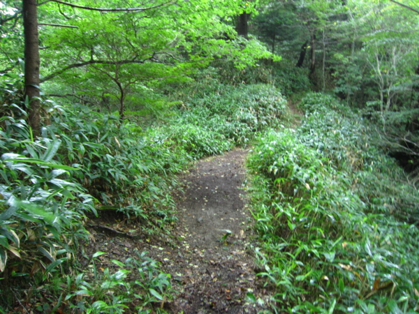 f:id:placeness:20120902142805j:image f:id:placeness:20120902142805j:image