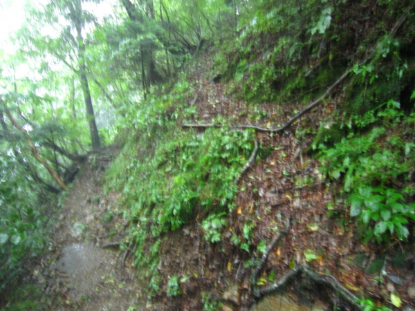 f:id:placeness:20120902143211j:image f:id:placeness:20120902143211j:image