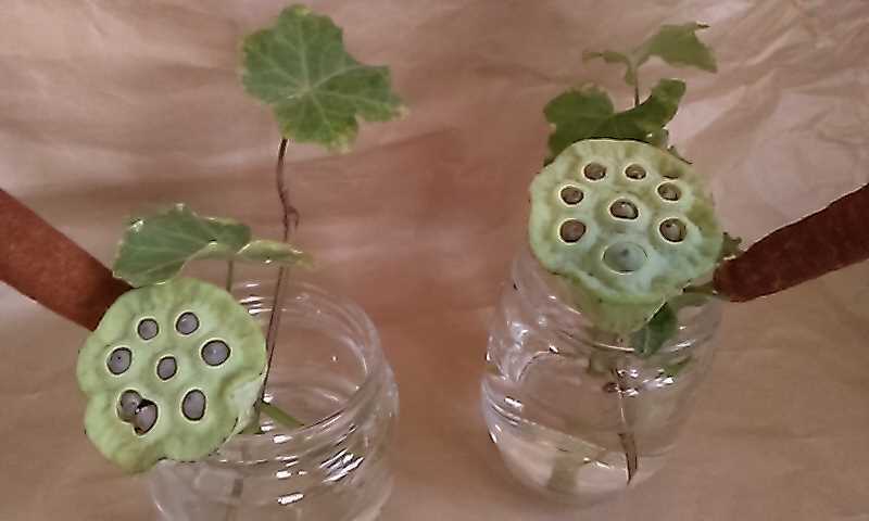 f:id:planet2019:20190820200411j:plain