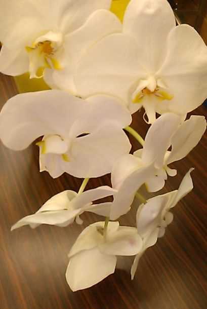 f:id:planet2019:20190905203105j:plain