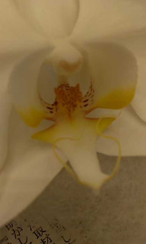 f:id:planet2019:20190905205308j:plain