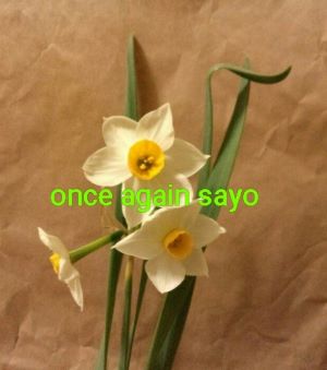 f:id:planet2019:20200121231946j:plain