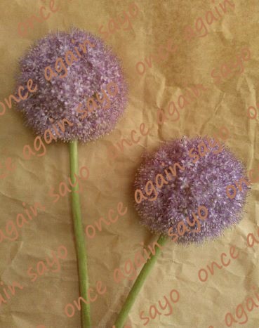f:id:planet2019:20200629175935j:plain