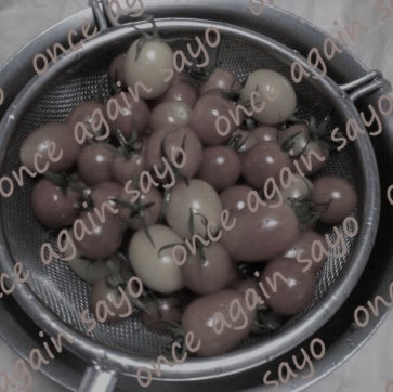 f:id:planet2019:20200729043315j:plain f:id:planet2019:20200729043315j:plain