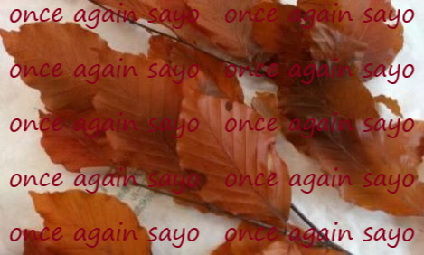 f:id:planet2019:20200928082015p:plain f:id:planet2019:20200928082015p:plain