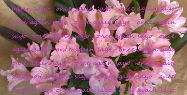 f:id:planet2019:20201204094345j:plain