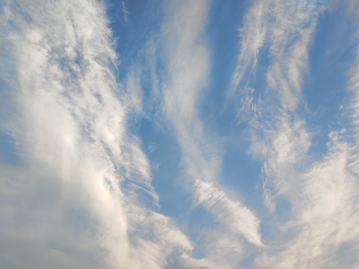 f:id:planetes228:20210607223437j:plain